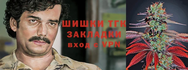 молекула духа Вязьма