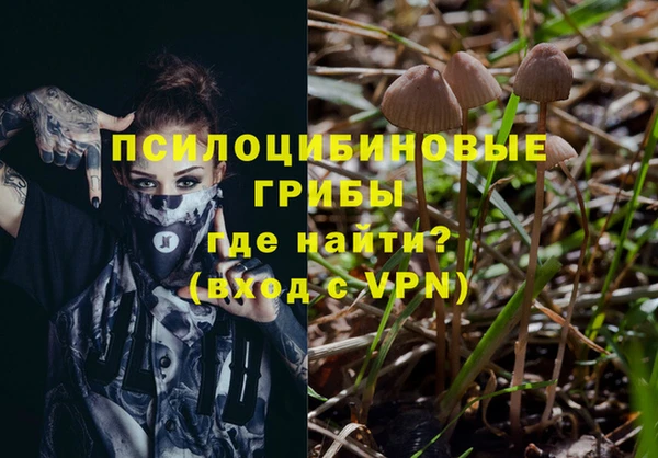 винт Володарск